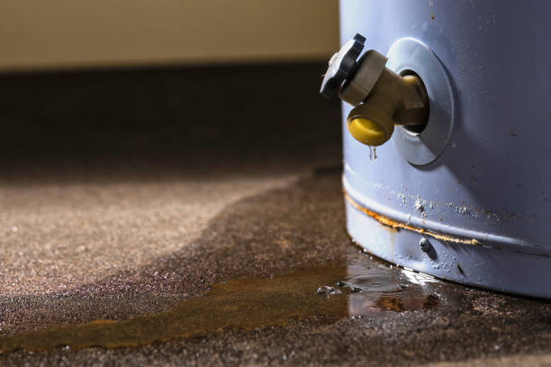 Best Basement water damage restoration  in Baraboo, WI