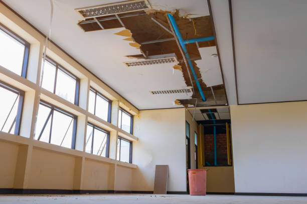 Best Carpet water damage restoration  in Baraboo, WI