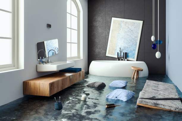 Best Flood restoration services  in Baraboo, WI