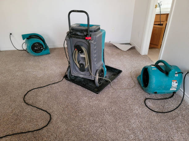 Best Flood damage cleanup  in Baraboo, WI