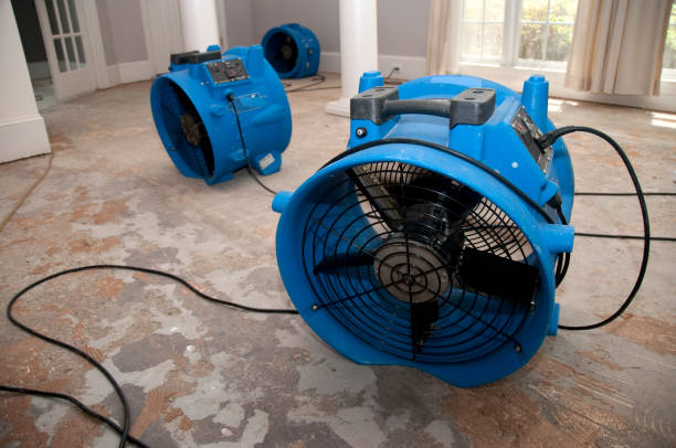 Best Residential water damage restoration  in Baraboo, WI