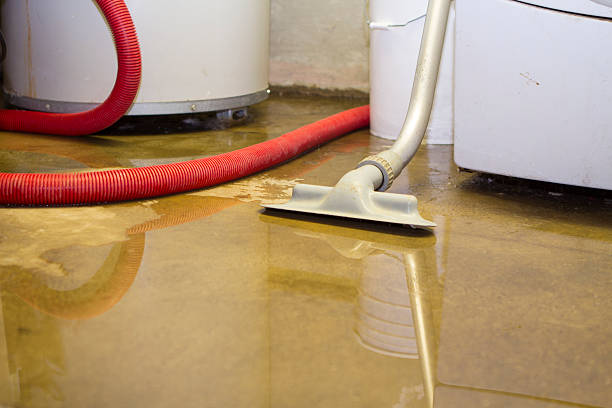 Best Water damage cleanup near me  in Baraboo, WI