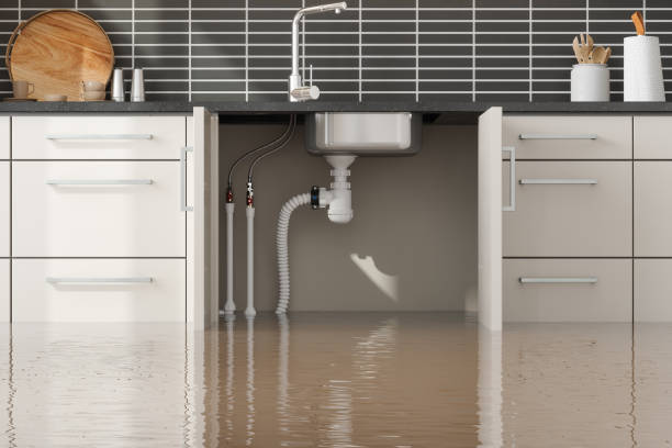 Best 24-hour water damage restoration  in Baraboo, WI
