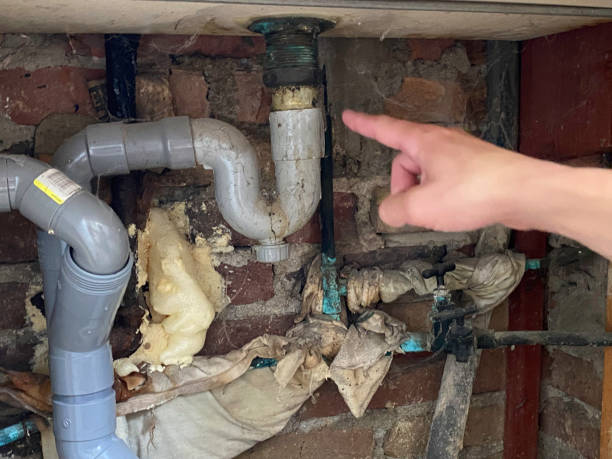 Best Mold removal after water damage  in Baraboo, WI