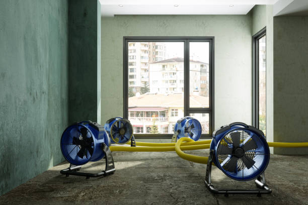 Best 24/7 water damage repair  in Baraboo, WI